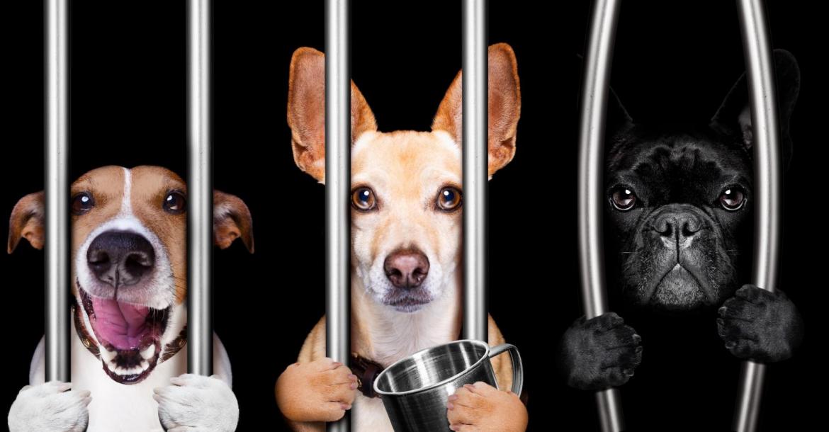 .in jail
