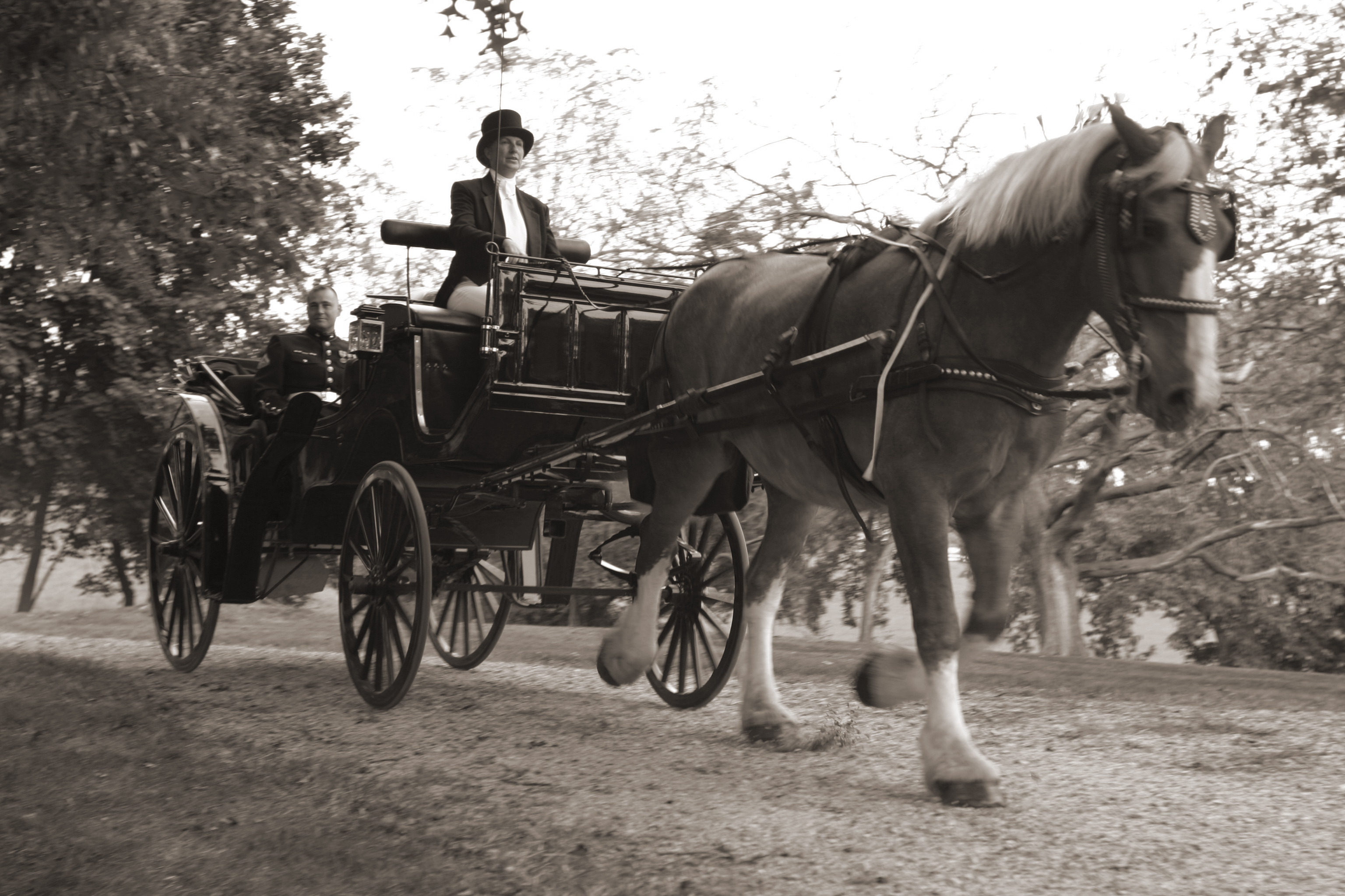 Carriage