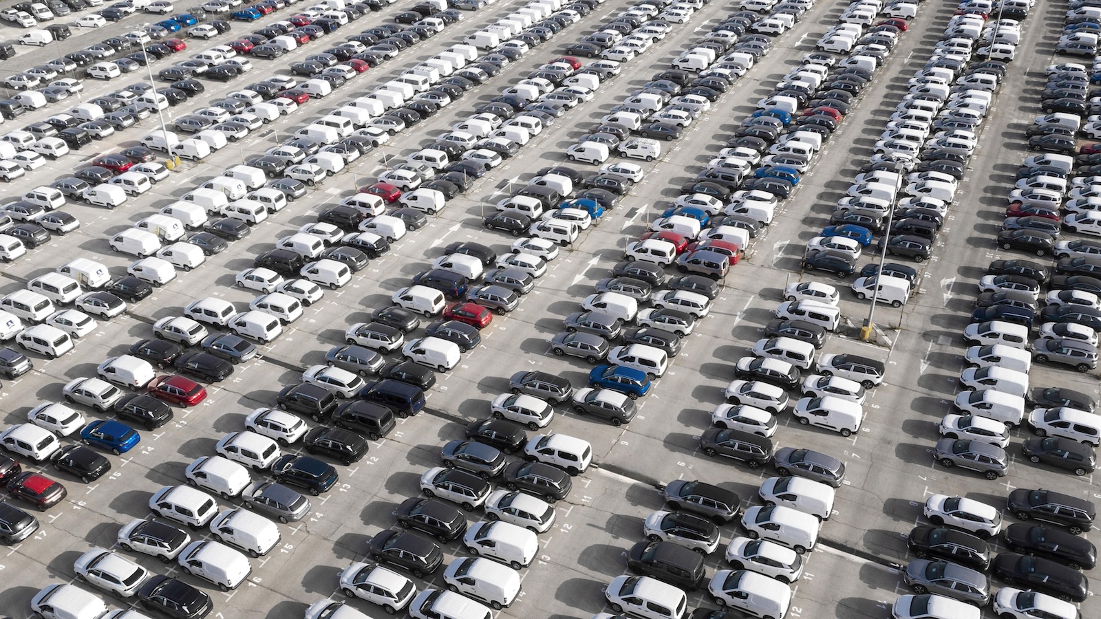 .car market