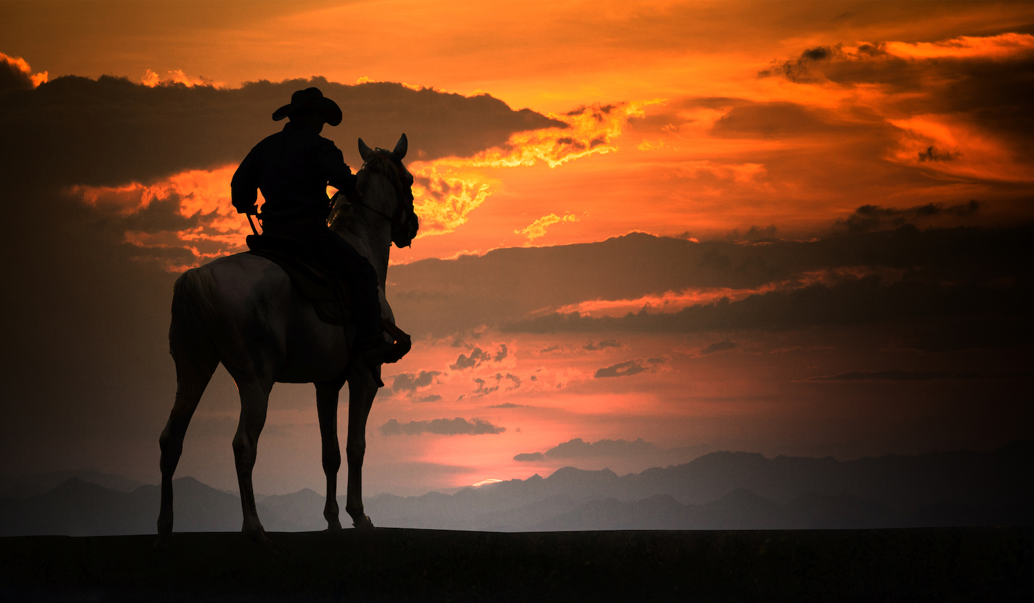 .cowboy