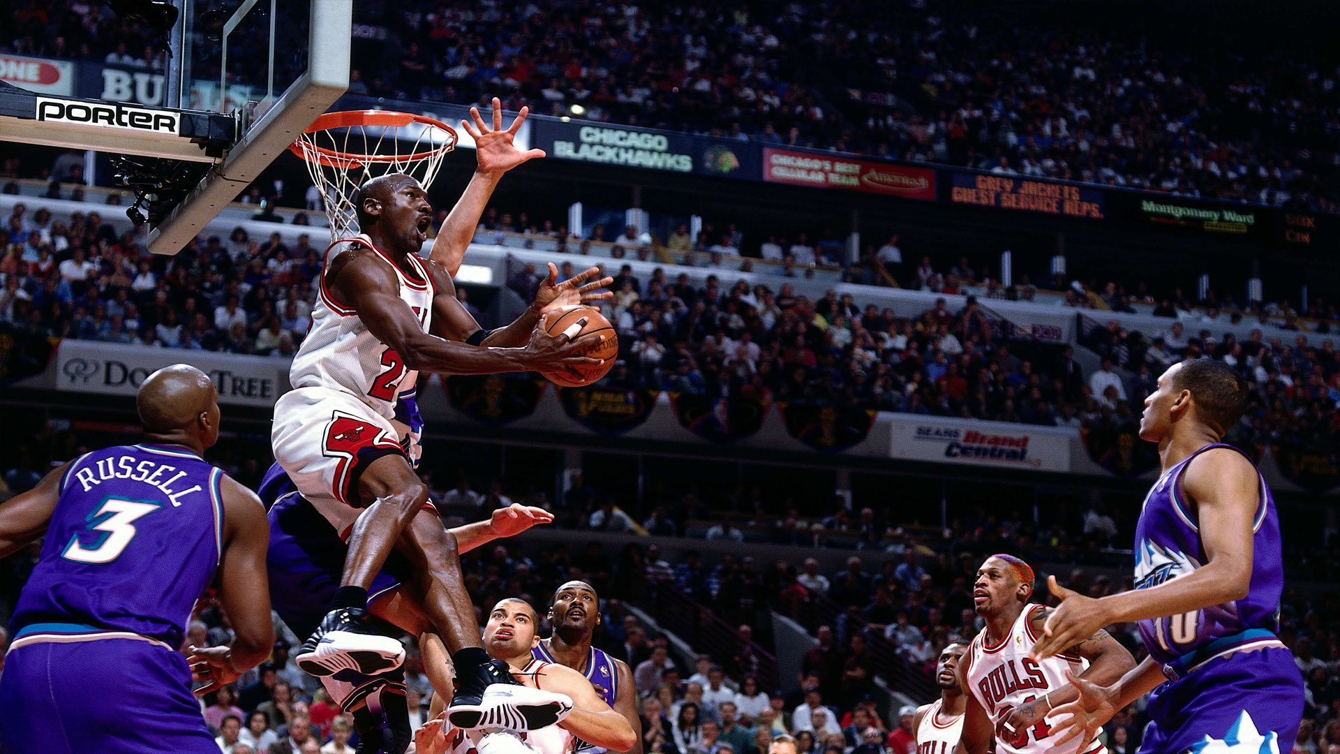 .michael jordan